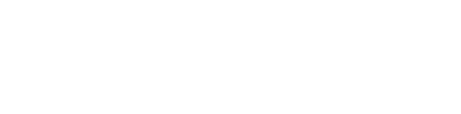 LifeOS